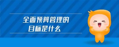 全面預(yù)算管理的目的是什么？